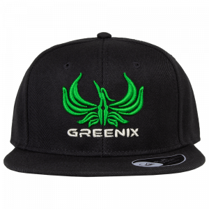Greenix - Logo snapback (Black)
